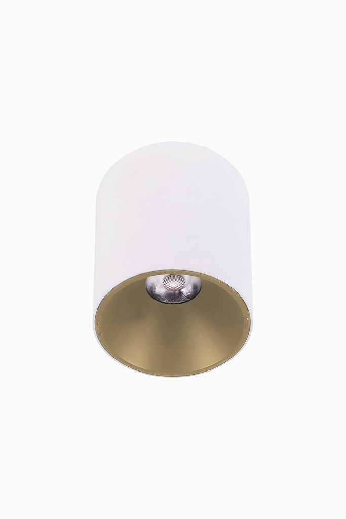 60501OSR imagen extra 1