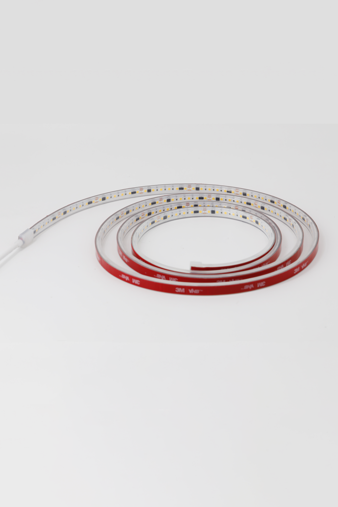 83880 imagen extra 1