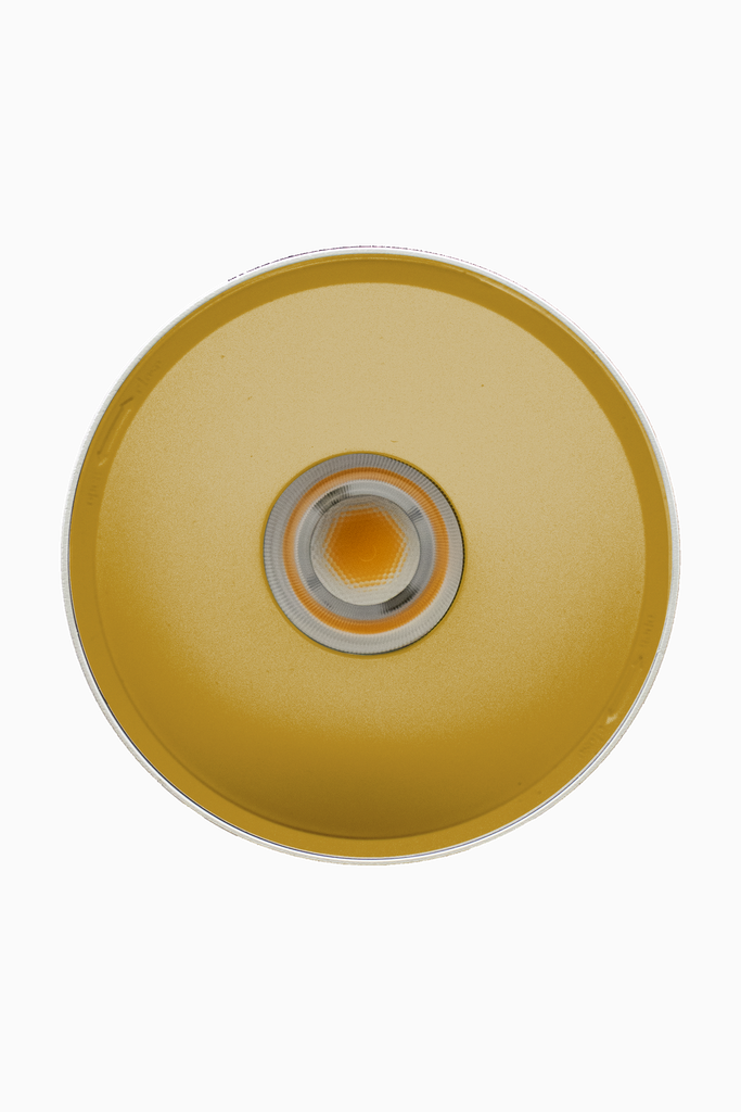 DOWNLIGHT ELSA BLANCO SUPERFICIE 30W 3000K 45º ORO 1-10V