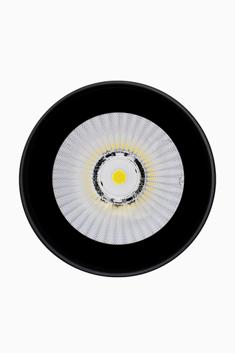 [60473] DOWNLIGHT PAU ANTRACITA SUP 12W CCT IP65