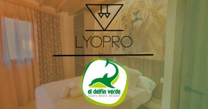 delfin verde camping